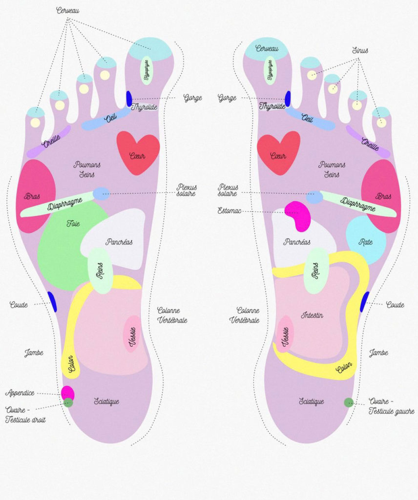 02-reflexologie-plantaire-856x1024